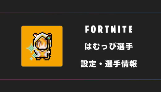 【FORTNITE】はむっぴ(Hamuppi)選手の感度・設定