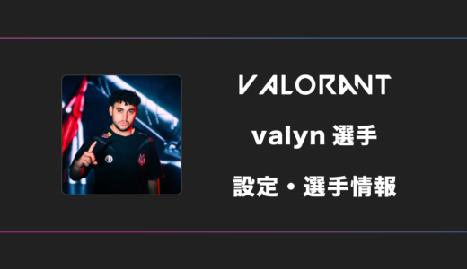 【VALORANT】valyn(バーリン)選手の感度・設定